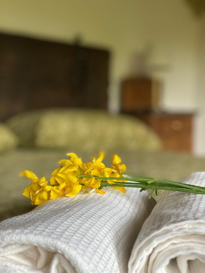 Bed and Breakfast Cascina Boschetto Saliceto Zewnętrze zdjęcie