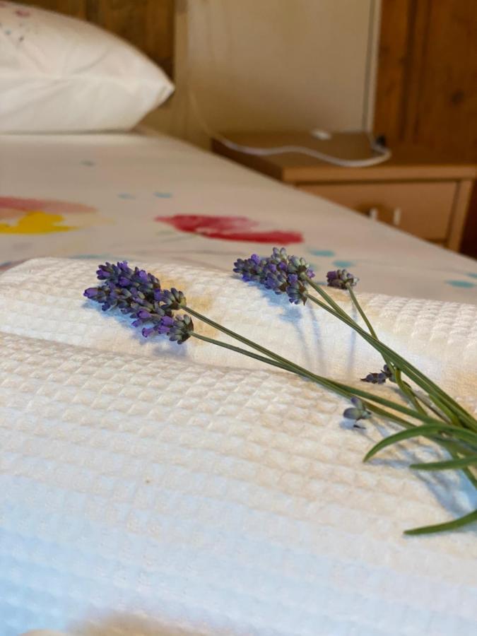 Bed and Breakfast Cascina Boschetto Saliceto Zewnętrze zdjęcie