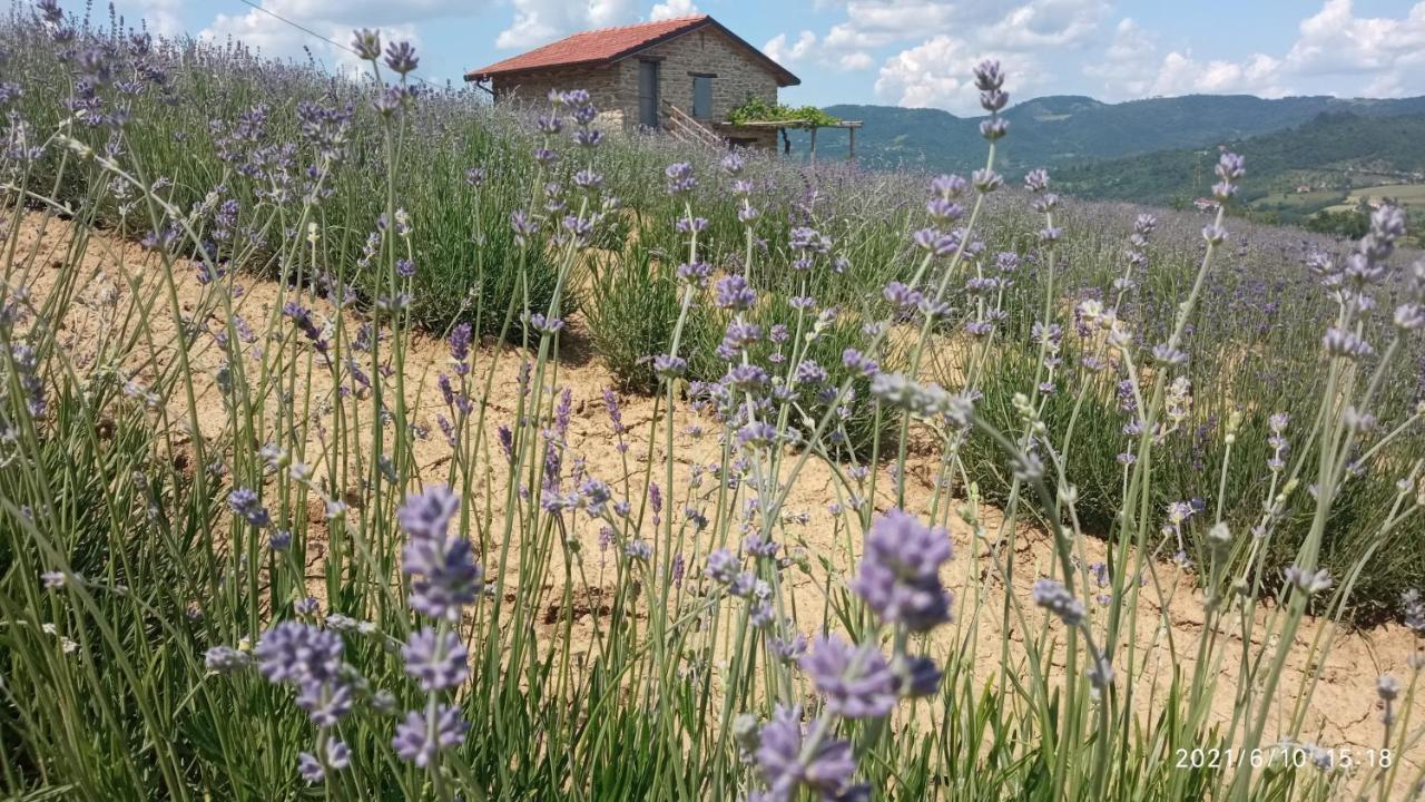 Bed and Breakfast Cascina Boschetto Saliceto Zewnętrze zdjęcie