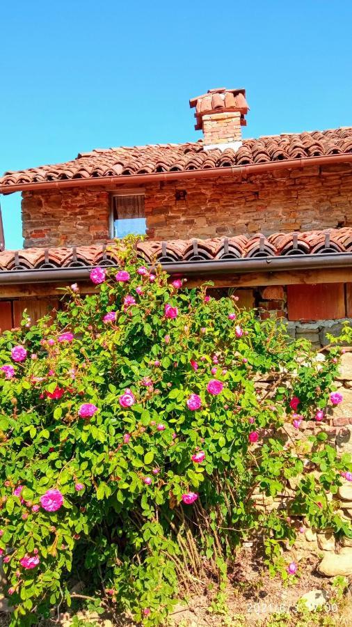 Bed and Breakfast Cascina Boschetto Saliceto Zewnętrze zdjęcie