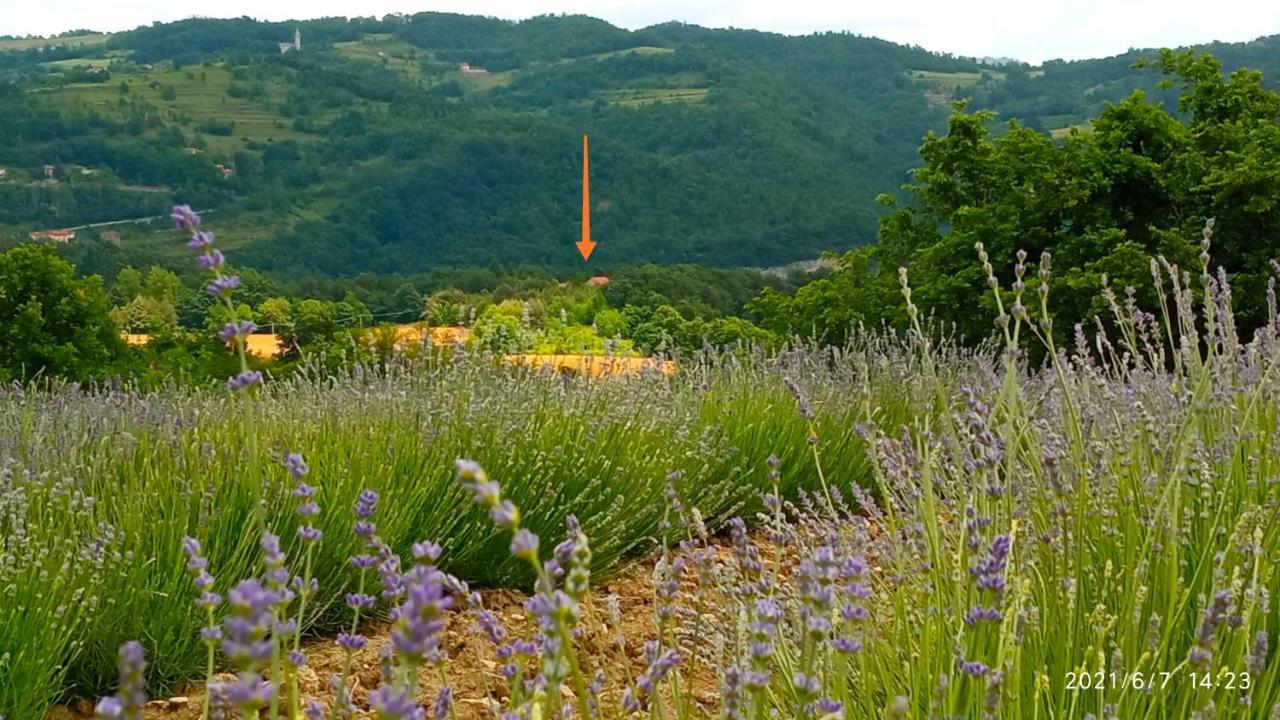 Bed and Breakfast Cascina Boschetto Saliceto Zewnętrze zdjęcie