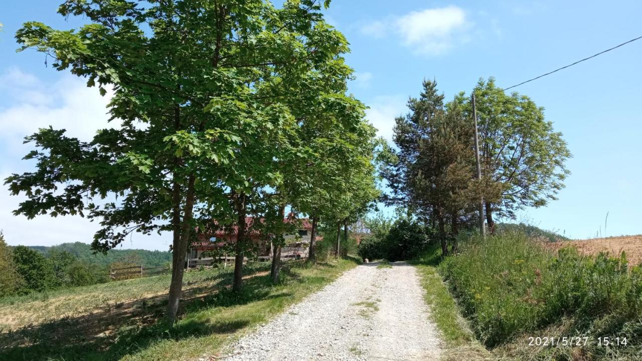 Bed and Breakfast Cascina Boschetto Saliceto Zewnętrze zdjęcie