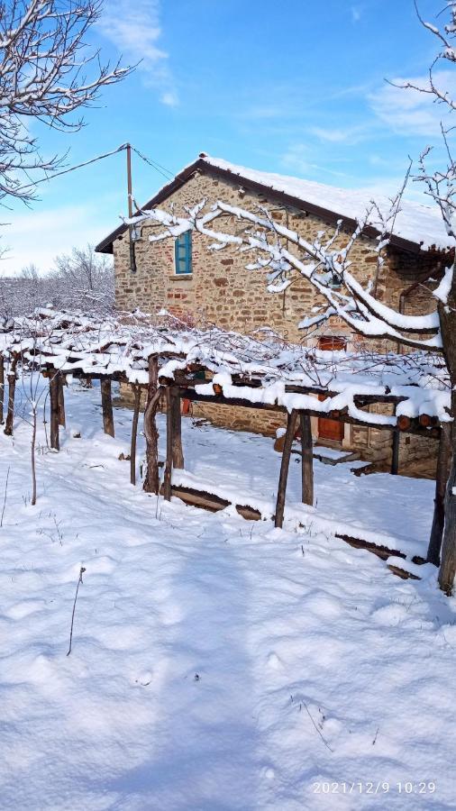 Bed and Breakfast Cascina Boschetto Saliceto Zewnętrze zdjęcie