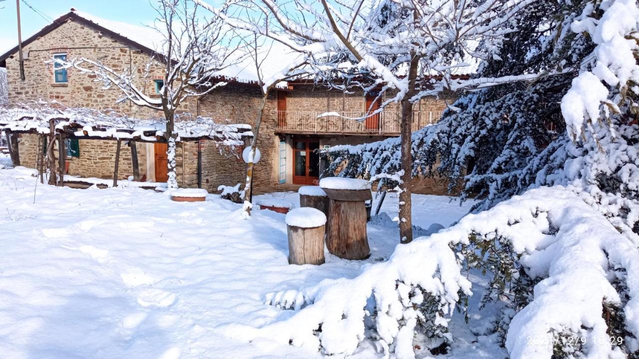 Bed and Breakfast Cascina Boschetto Saliceto Zewnętrze zdjęcie