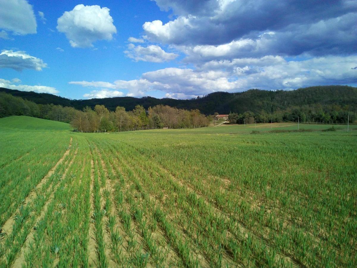Bed and Breakfast Cascina Boschetto Saliceto Zewnętrze zdjęcie